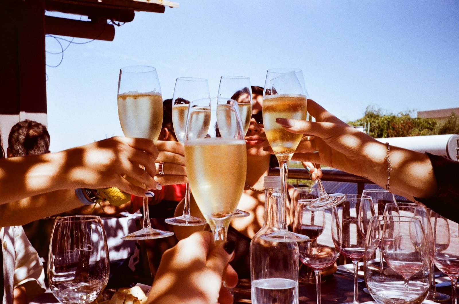 14 partners toast